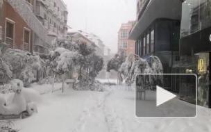 Самый мощный за 80 лет снегопад обрушился на Мадрид