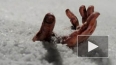 В Петербурге обнаружено вмерзшее в лед обнаженное тело