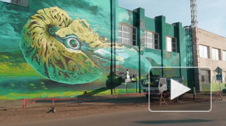 Петербуржцам покажут работы Бэнкси и стрит-арт со всей России 