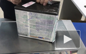 Почтальонам Петербурга и Ленобласти повысят зарплату на 21%