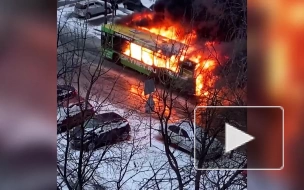 Видео: на проспекте Луначарского полностью сгорел пассажирский автобус