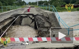 В Приморье частично обрушился автомобильный мост