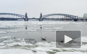 Петербуржец снял с дрона удивительный красоты ледоход на Неве 