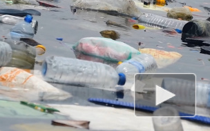 Greenpeace назвала основной вид мусора на берегах водоемов России