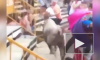 Видео: в Испании бык ранил 17 человек на трибуне 