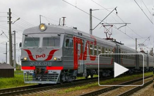 Жителю Кронштадта поездом ампутировало голову. На изуродованный труп наткнулись случайные прохожие