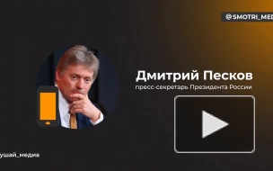 Песков назвал "опасной провокацией" украинскую петицию о вводе войск НАТО