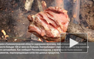 В Калининграде уничтожили 106 кг мяса