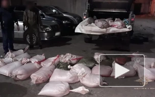 На Камчатке полицейские изъяли из незаконного оборота более тонны красной икры