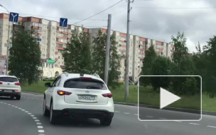 Голубь прокатился с ветерком по улицам Сургута на белом "Инфинити"