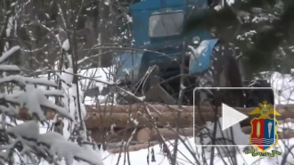 В Ивановской области вынесли приговор участникам преступного сообщества "черных лесорубов"