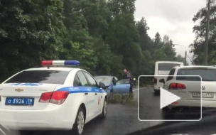 На Краснофлотском шоссе дерево смяло маленькую машинку