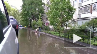 Видео: петербуржец решил прополоскать ковер в образовавшейся после дождя луже