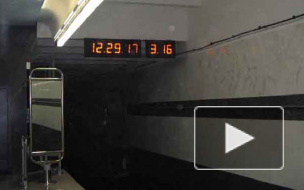 Поезда в петербургском метро встали на 20 минут из-за сломавшегося состава