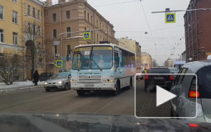 На Кондратьевском проспекте маршрутка сбила пешехода