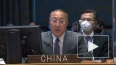 Постпред Китая в ООН: политика НАТО приводит к гуманитар ...