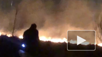 Видео: в Пушкине загорелось поле 