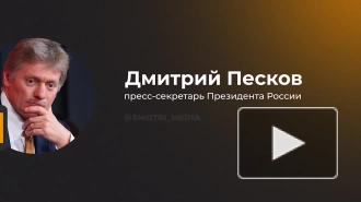 Песков назвал "послание" Шольца Путину линией на продолжение конфликта