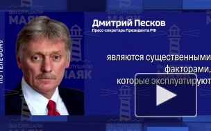 Песков назвал заявления о планах России влиять на выборы в США абсурдными