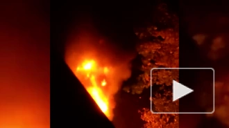 Появилось видео с криками зовущих о помощи при пожаре на юге Москвы