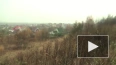 Пайщики бывшего совхоза "Ручьи" требуют справедливости