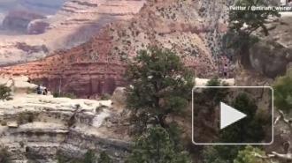 Американка насмерть сорвалась с обрыва во время фотосессии с семьей