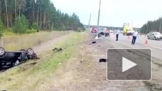 Видео с места ДТП: В Липецкой области в ДТП погибла почти вся семья из Санкт-Петербурга 