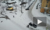 Снег покрыл улицы Петербурга в первый день 2018 года