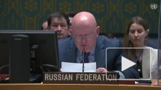 Небензя: Россия представит в СБ ООН свидетельства риторики ненависти Киева
