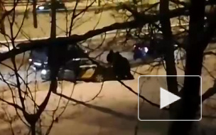 На Черной речке такси вылетело на тротуар 
