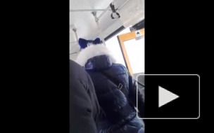 Ачинск: видео с вопящим кондуктором в городском автобусе возмутило горожан