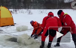 К поискам утонувшей в реке Оредеж женщины подключатся водолазы из Москвы