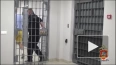 В Московской области полицейские задержали наркокурьера