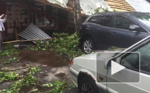 Появилось видео шокирующих последствий ливня с грозой в Петербурге