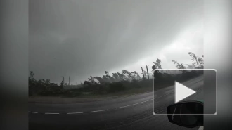 Туристы сняли на видео, как ураган за секунды вырвал десятки деревьев