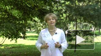 Роман Вильфанд рассказал о причинах природных катаклизмов летом