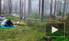 Ураган в Новосибирской области унес жизни сестер-двойняшек: на палатку упало дерево