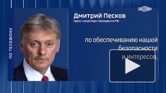 Кремль оценил реакцию в ФРГ на слова Путина о модернизации ВМФ