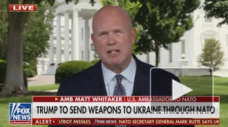 Постпред США при НАТО: Вашингтон на деньги ЕС передаст Украине ненужное оружие