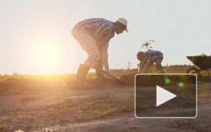 Российским дачникам возместят убытки по новым правилам