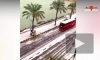 В Александрии впервые выпал снег за десятилетие
