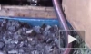 В Ленобласти злоумышленники воровали нефть из трубопровода "Второво-Приморск"