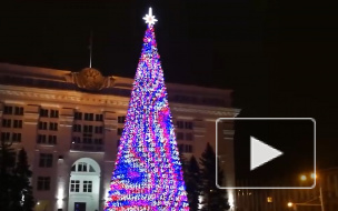 Мэр Кемерова объяснил покупку новогодней елки почти за 18 млн рублей