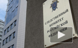 В Петербурге будут судить группу подростков, державших в страхе Приморский район