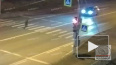 Suzuki снес пешехода на Красносельском шоссе