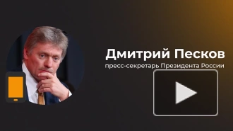 Песков назвал слухи о переговорах Козака с ЕС по Украине "уткой"