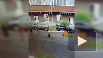 Видео: пьяный мужчина сломал шлагбаум в Шушарах