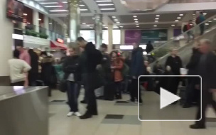 Борт AzurAir вернулся в Домодедово из-за птицы в двигателе