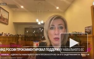 Захарова рассказала об ответах Германии на запросы по анализам Навального