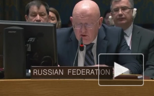 Россия призвала ООН помочь освободить удерживаемую Киевом правозащитницу Бережную